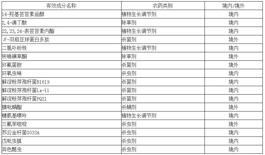 证券公司2025年分类评价结果出炉