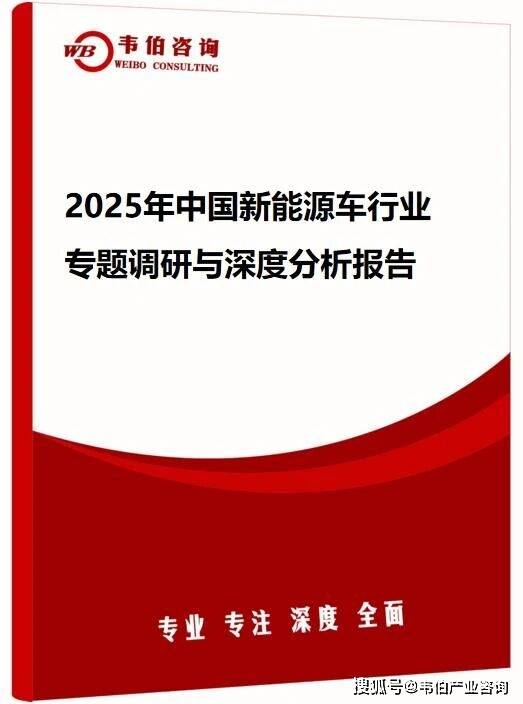 韦伯咨询：2025年中国新能源车行业专题